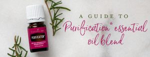 A Guide to Purification Essential Oil Blend