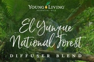 El Yunque National Forest Diffuser Blend