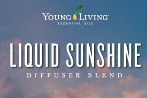 Liquid Sunshine Diffuser Blend