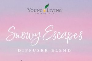 Snowy Escapes Diffuser Blend