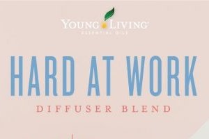 Hard At Work Diffuser Blend