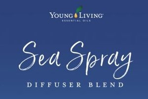 Sea Spray Diffuser Blend