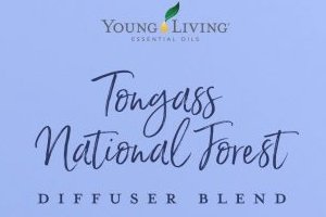 Tongass National Forest Diffuser Blend