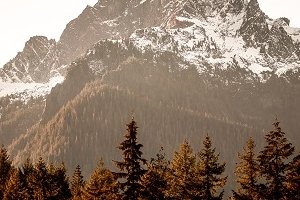 Mountain Air Diffuser Blend