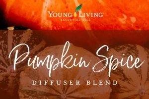 Pumpkin Spice Diffuser Blend