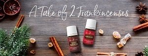 A Timeless Tale of Frankincense