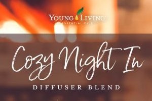 Cozy Night In Diffuser Blend