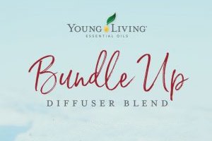 Bundle Up Diffuser Blend