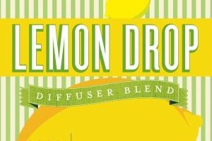 Lemon Drop Diffuser Blend