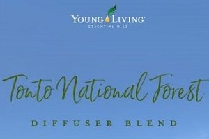 Tonto National Forest Diffuser Blend