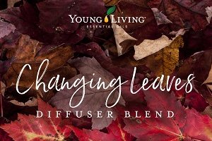 Changing Leaves Diffuser Blend