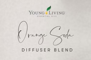Orange Soda Diffuser Blend