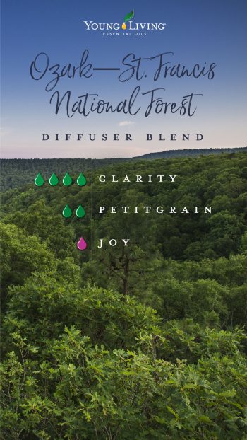 blog-10-essential-oil-diffuser-blends-inspired-by-U.S.-National-Forests_Ozark—St.-Francis-National-Forest-diffuser-blend_US-e1560286929722