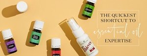 The Quickest Shortcut to Essential Oil Expertise