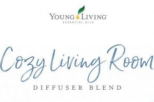 Cozy Living Room Diffuser Blend