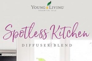 Spotless Kitchen Diffuser Blend