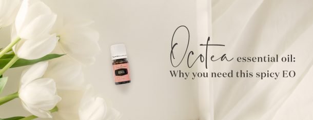 Ocotea essential oil: Why you need this spicy EO