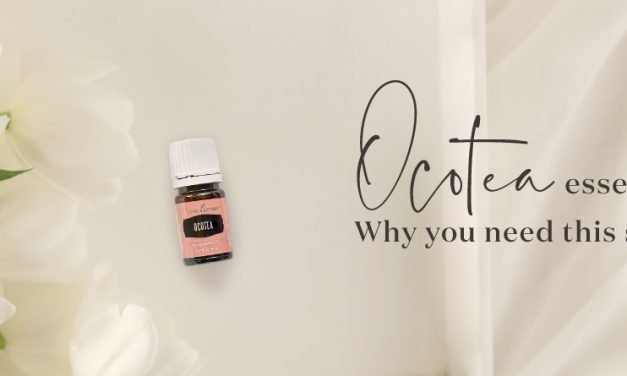 Ocotea essential oil: Why you need this spicy EO