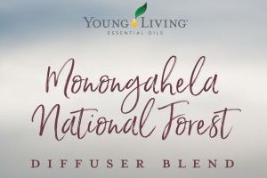 Monongahela National Forest Diffuser Blend