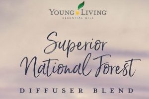 Superior National Forest Diffuser Blend