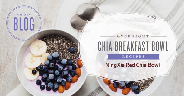 NingXia Red Chia Bowl