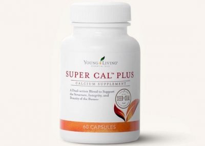 Super Cal Plus