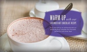 Warm Up with our Lavender Hot Chocolate