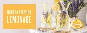 Honey-Lavender Lemonade