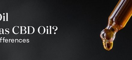 Is Hemp Oil the Same as CBD Oil? Exploring the Differences