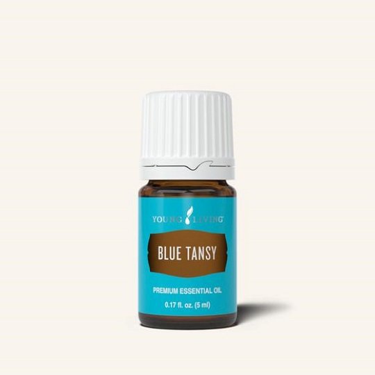 Blue Tansy Essential Oil