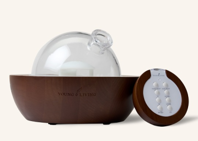 Mini Aria Diffuser – Ash