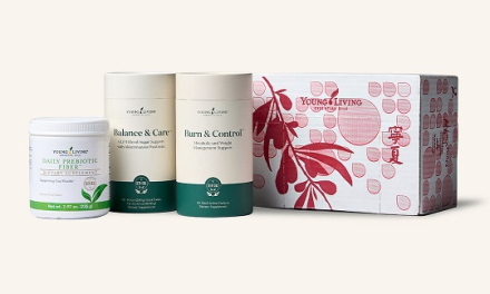 Balance and Burn Ultimate Bundle